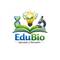 leito85.milaulas.com